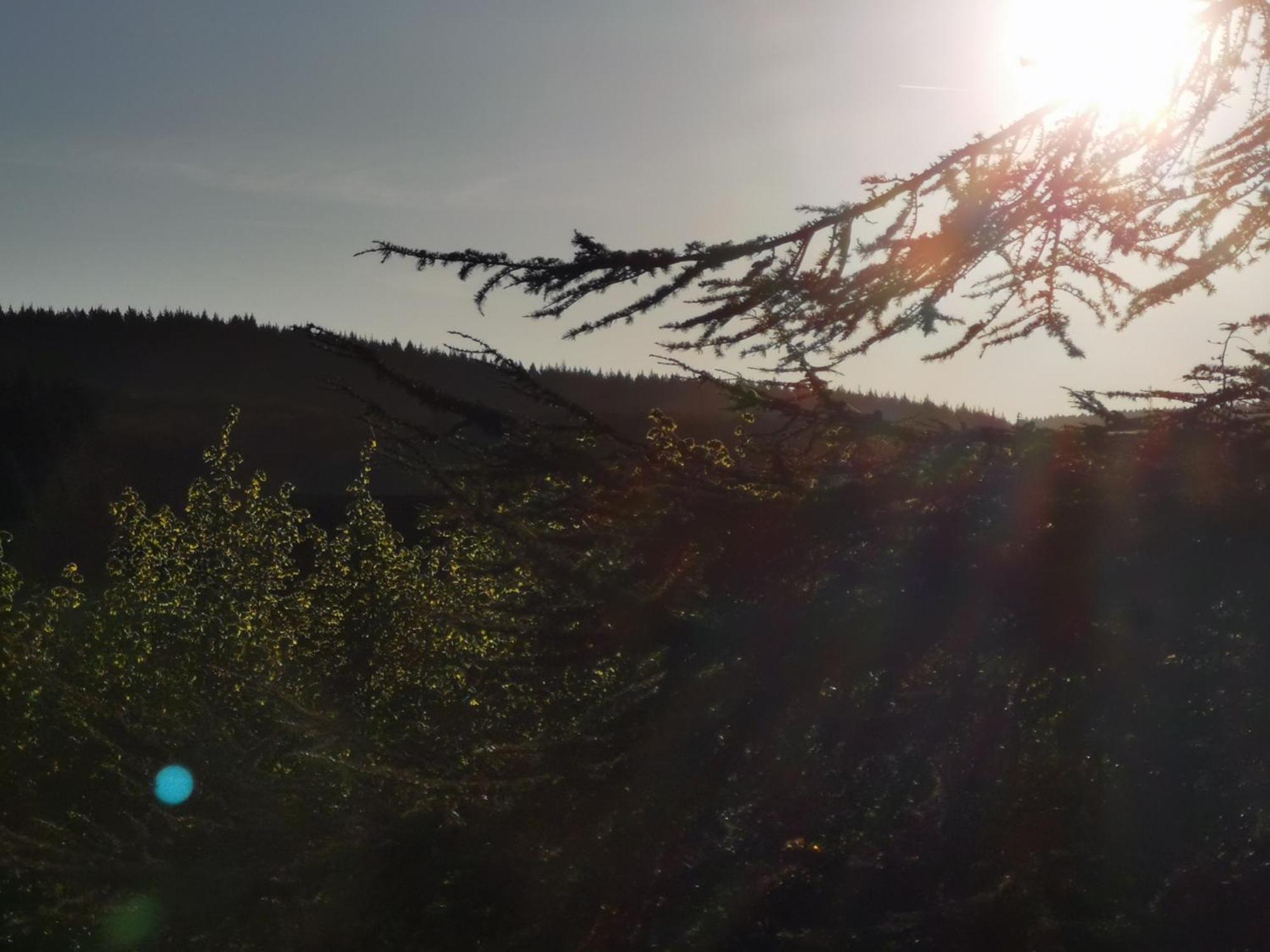 Gite La Bancale Lormes Экстерьер фото